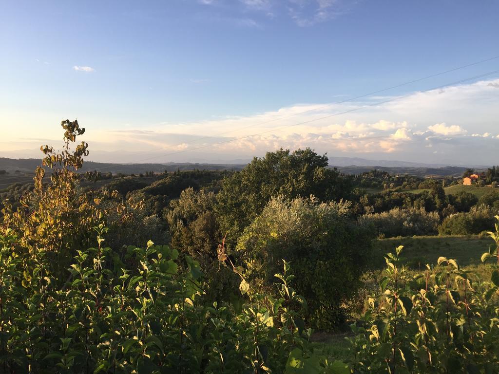 Da Tilli Alla Fornace - Agriturismo Montaione Bagian luar foto