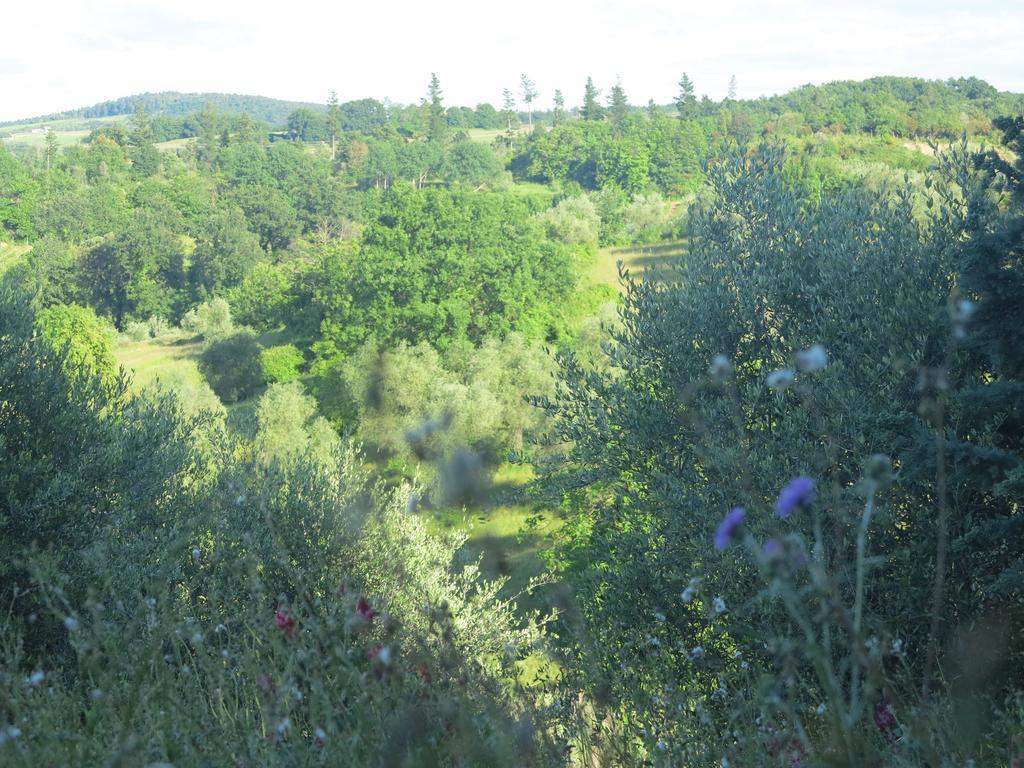 Da Tilli Alla Fornace - Agriturismo Montaione Bagian luar foto